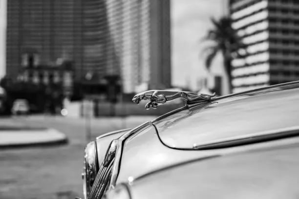 Kazino Prize Land Bingo Android/iOS programa